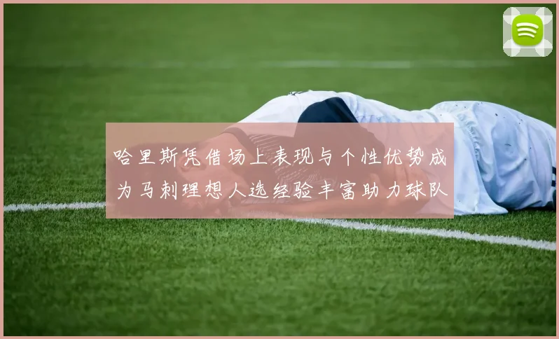 哈里斯凭借场上表现与个性优势成为马刺理想人选经验丰富助力球队发展